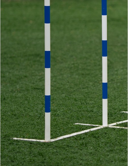 Palo Slalom