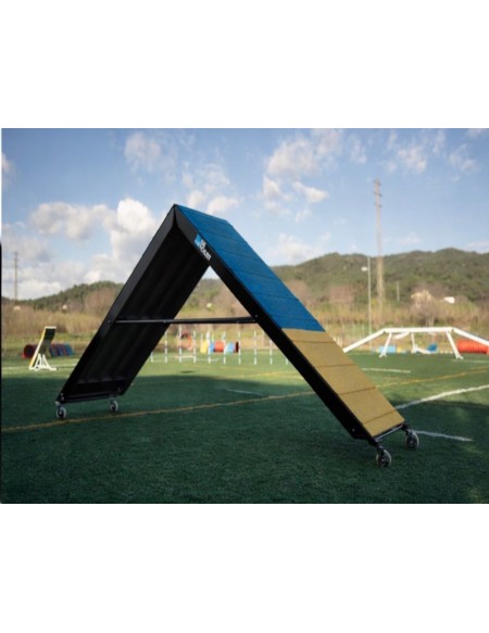 A-Frame AUREUM