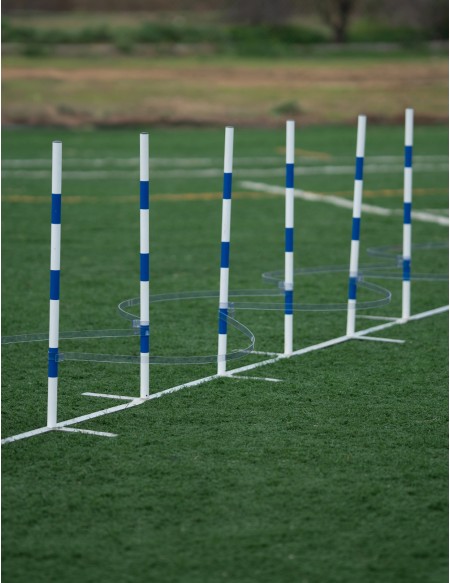 Slalom-Guides