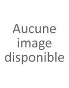 Serie AUREUM